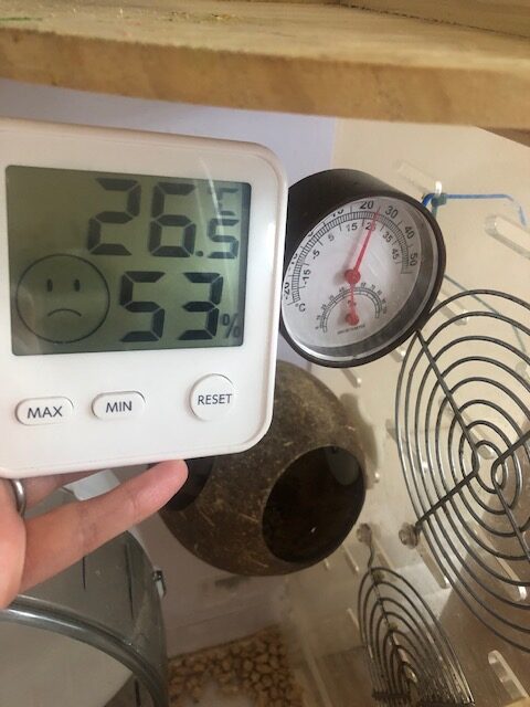 温度と湿度を一緒に管理できる温度計の様子を撮影した写真